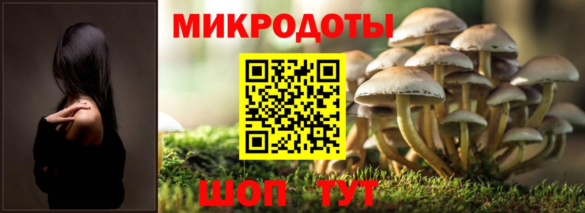 Псилоцибиновые грибы мухоморы Полевской